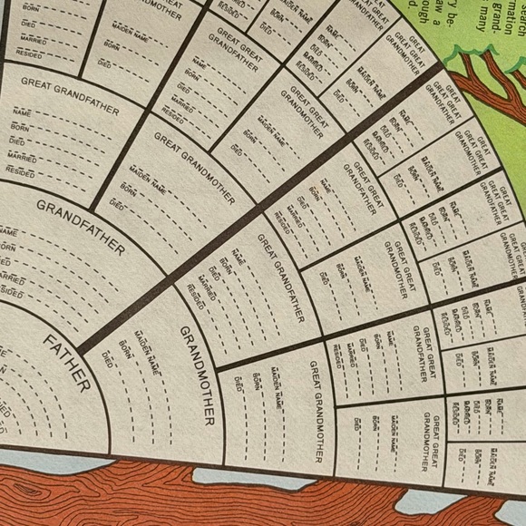 Vintage Family Tree Chart (paper) - Picture 4 of 6